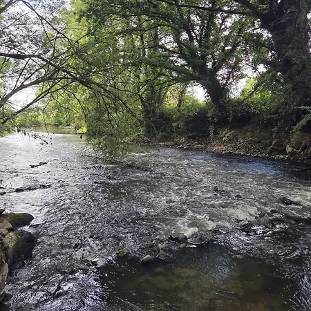Le Hameau Des Possibles 16- Personnes * La Foret-sur-Sevre